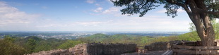 Motiv 04-2742 - Siebengebirge, Wachtberg