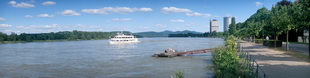 Motiv 04-2796 - Rheinufer, Bonn