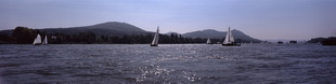 Motiv 08-0019 - Rheinwoche, Bonn